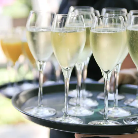 Arthotel Kiebitzberg 4*