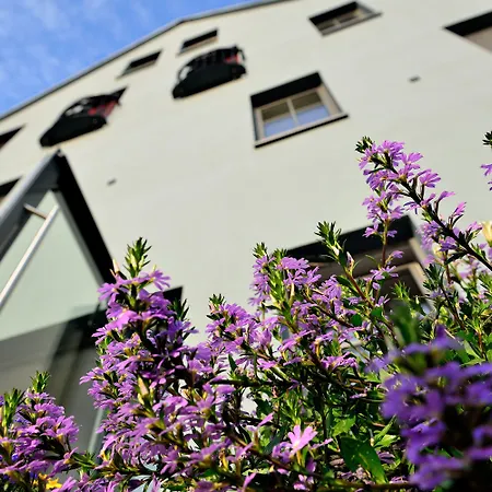 基彼兹贝格艺术酒店 酒店