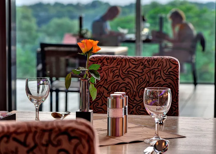 Отель Arthotel Kiebitzberg 4*