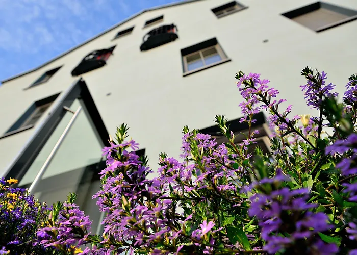 Arthotel Kiebitzberg Отель