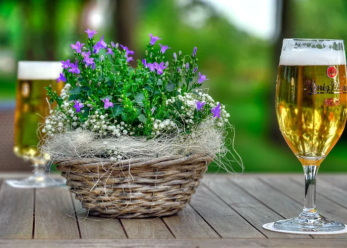 Arthotel Kiebitzberg Отель